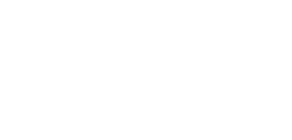 fnnsw futsal rgb horiz white solid